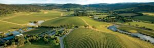 Aerial view of a vineyard estate event venue showing rows of vines, ponds, access roads and rolling hills.
